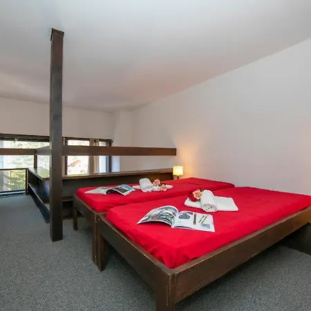 Apartament Grand Roc - Bruyeres 322 *
